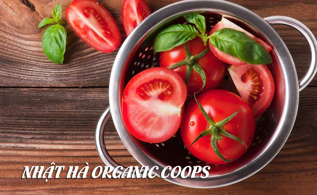 Nhật Hà Organic Foods