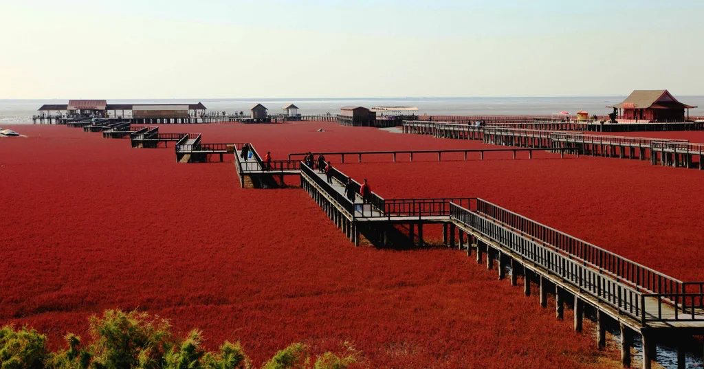 Bãi biển Đỏ, Trung Quốc