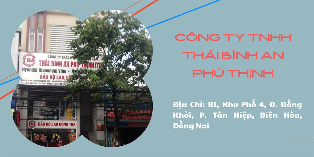 Công Ty TNHH Thái Bình An Phú Thịnh