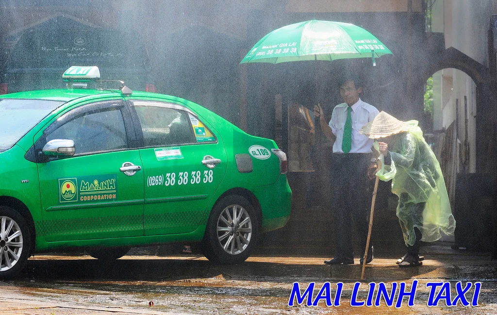 Taxi Mai Linh tại Biên Hòa
