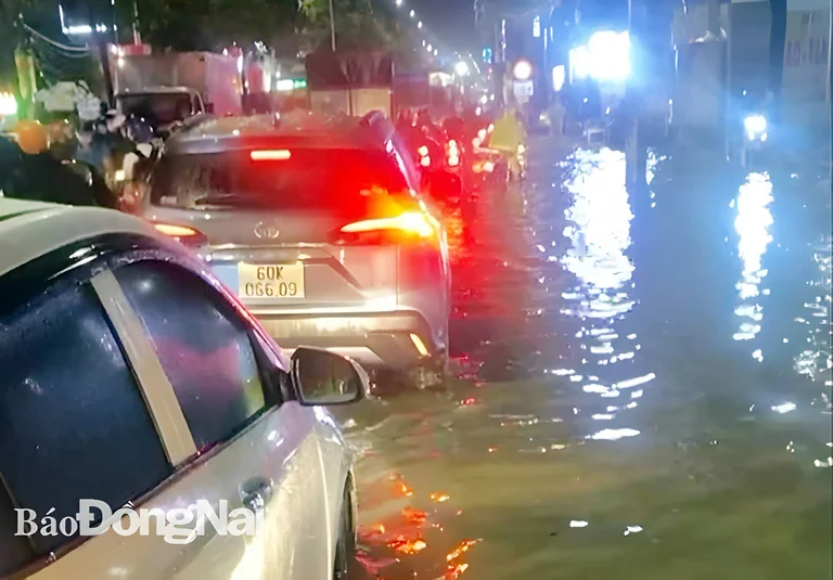 Đoạn ngập nước tại đường Nguyễn Ái Quốc Biên Hòa 02
